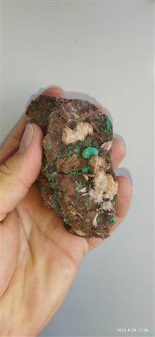 همرشدی