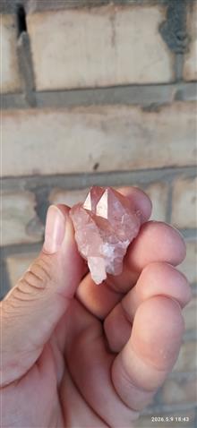نمونه