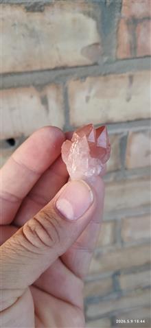نمونه
