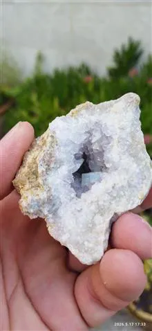همرشدی