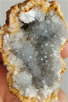 سلستین
