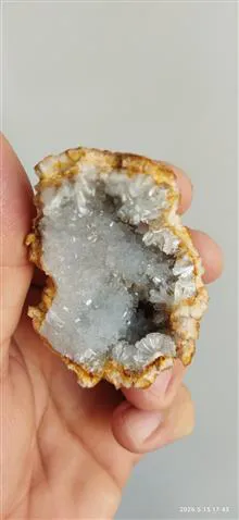 سلستین