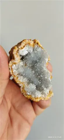 سلستین