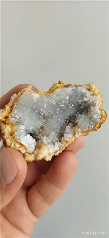 سلستین