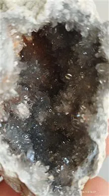 ژئود