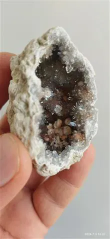 ژئود