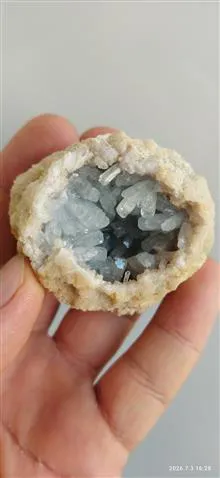 سلستین