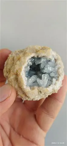 سلستین