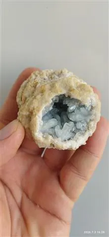 سلستین