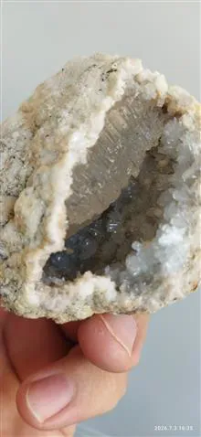 همرشدی