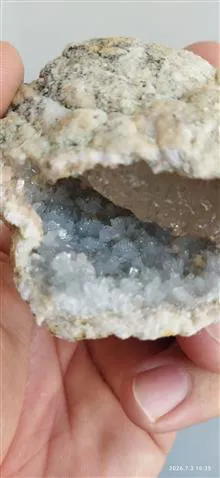 همرشدی