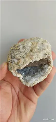 همرشدی