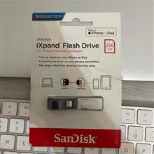 Sandisk