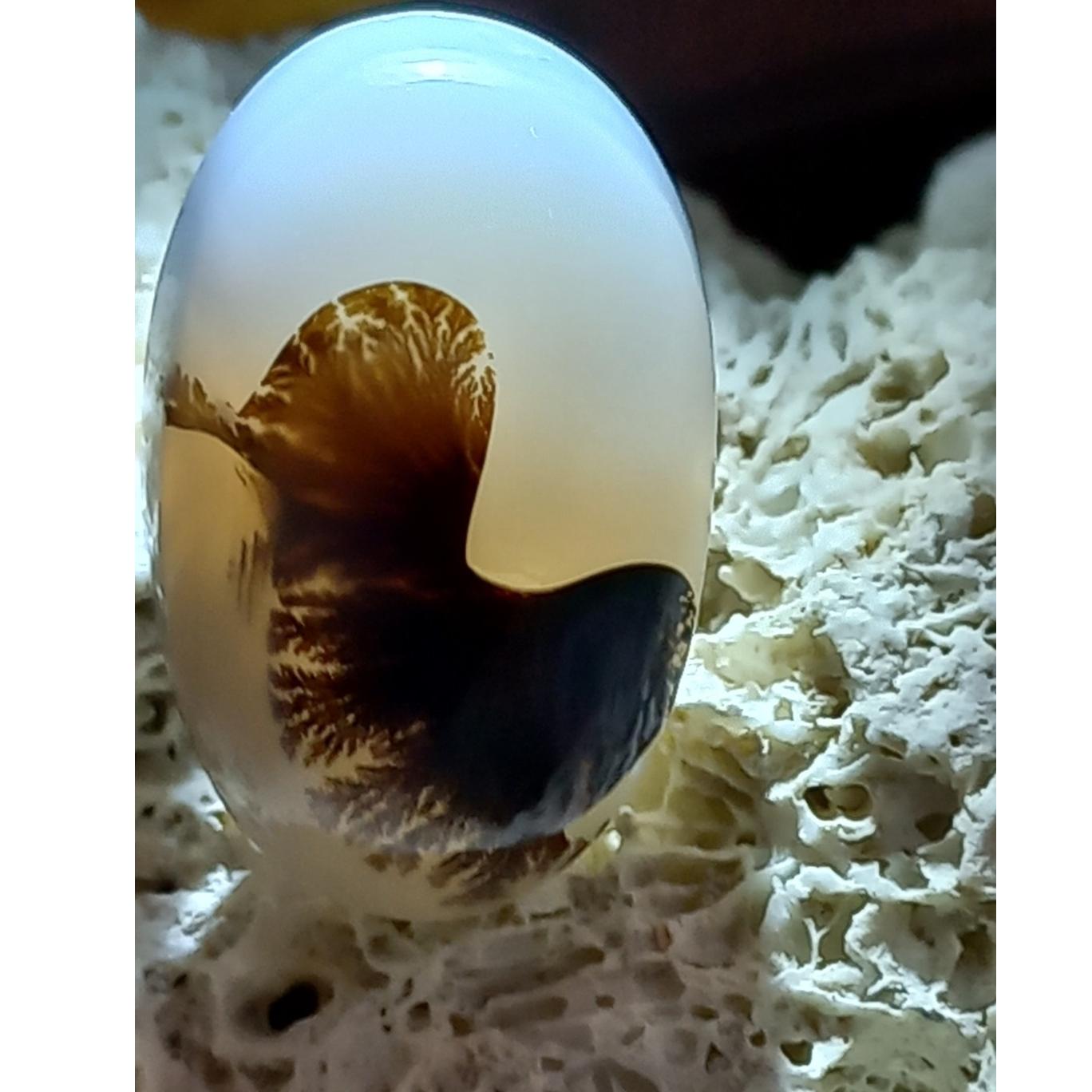 نگین شجر قائنات مصور شکل جوجه یا جوجه اردک