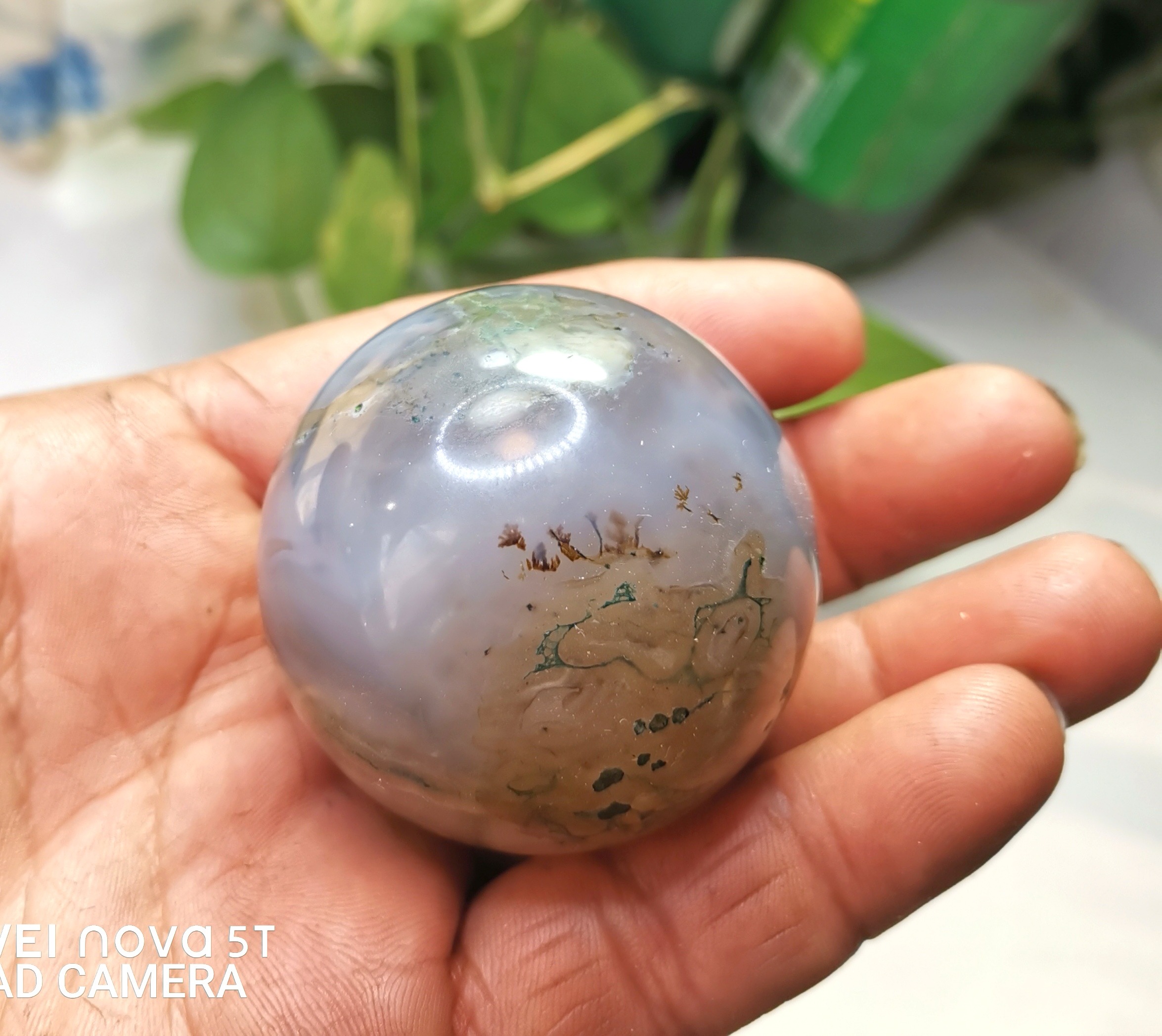 گوی عقیق خزه ای شجر دار