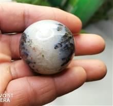 گوی