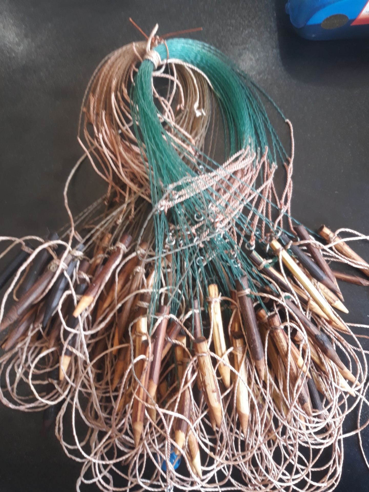 دام کبک پاگیر