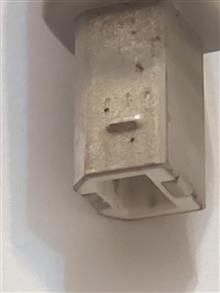 کابل
