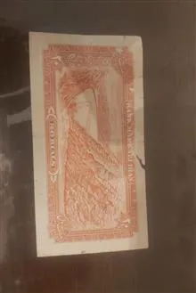 اسکناس
