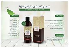 شامپو