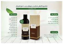شامپو