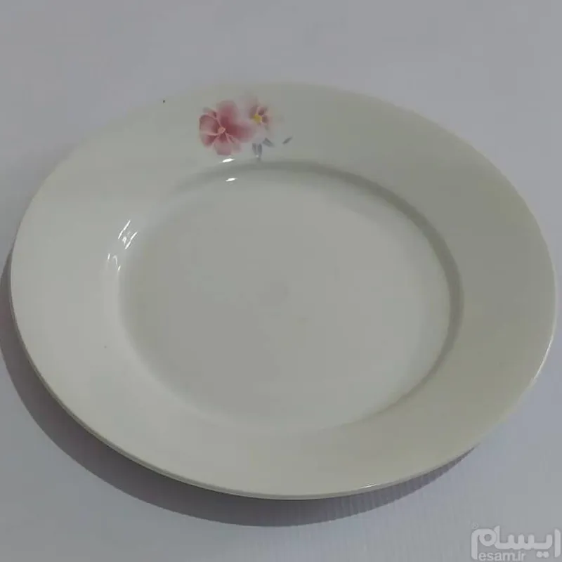 دیس چینی البرز