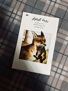 روباه