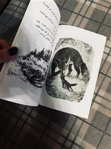 روباه
