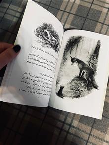 روباه