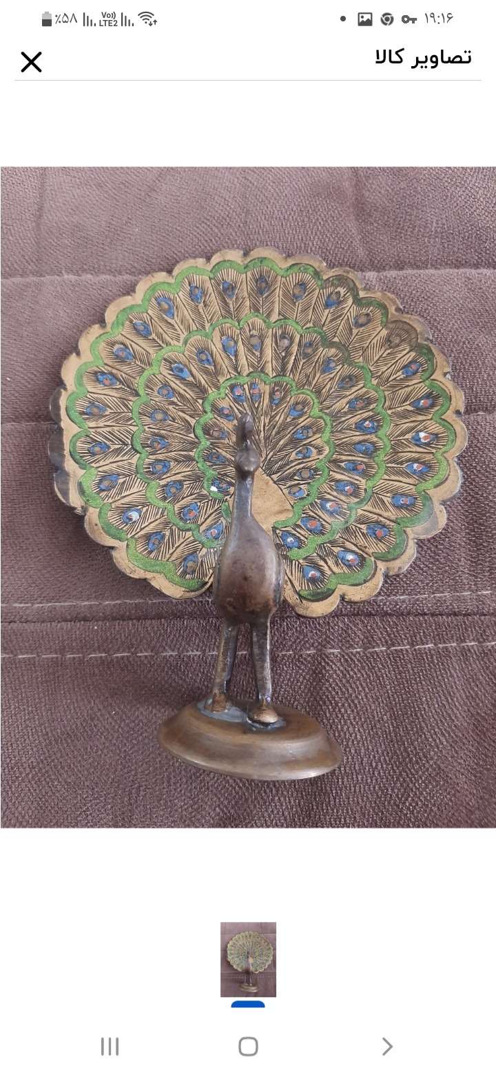 طاووس برنجی کمیاب