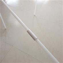 اسکلت