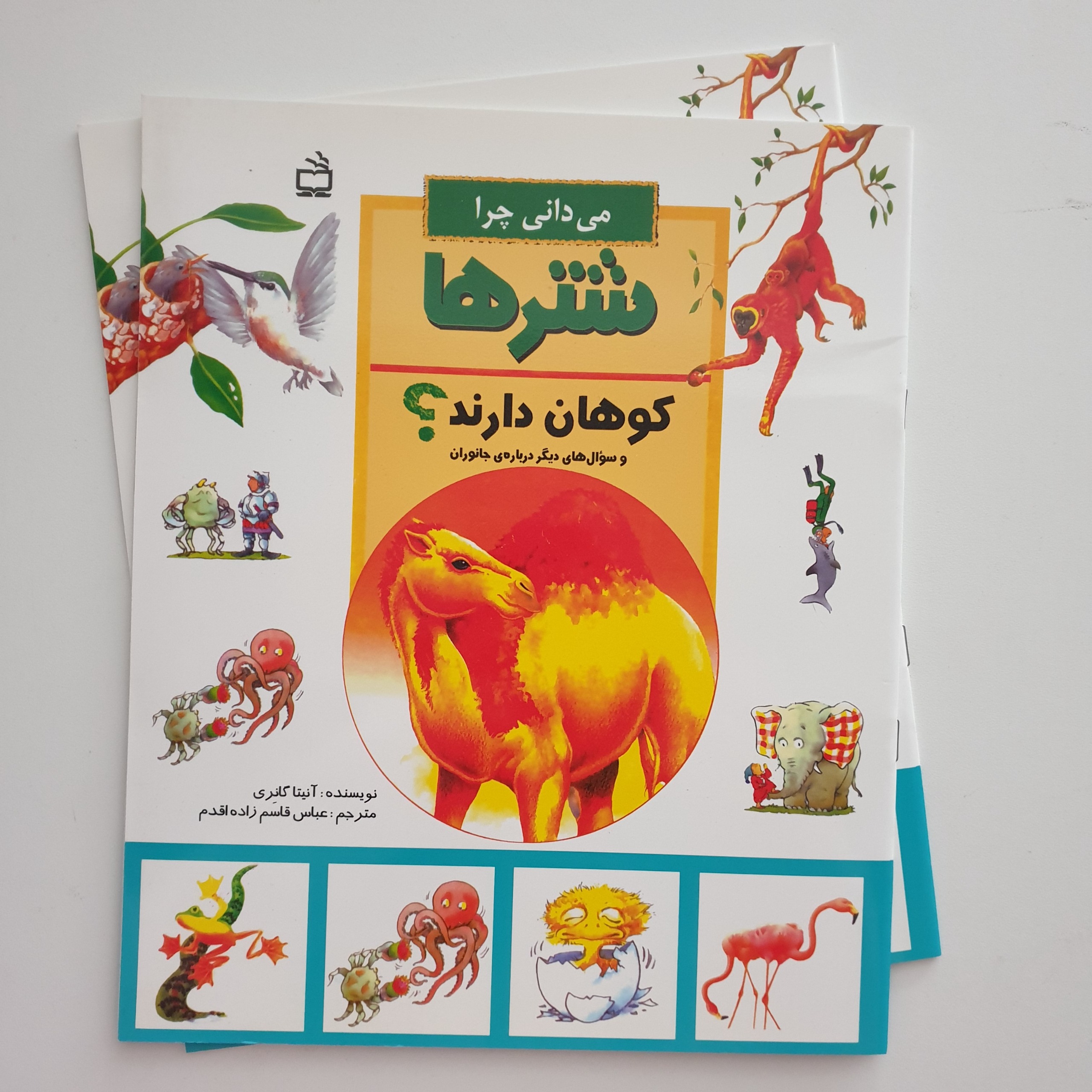 کتاب میدانی چرا شتر ها کوهان دارند؟ آنیتا گانری