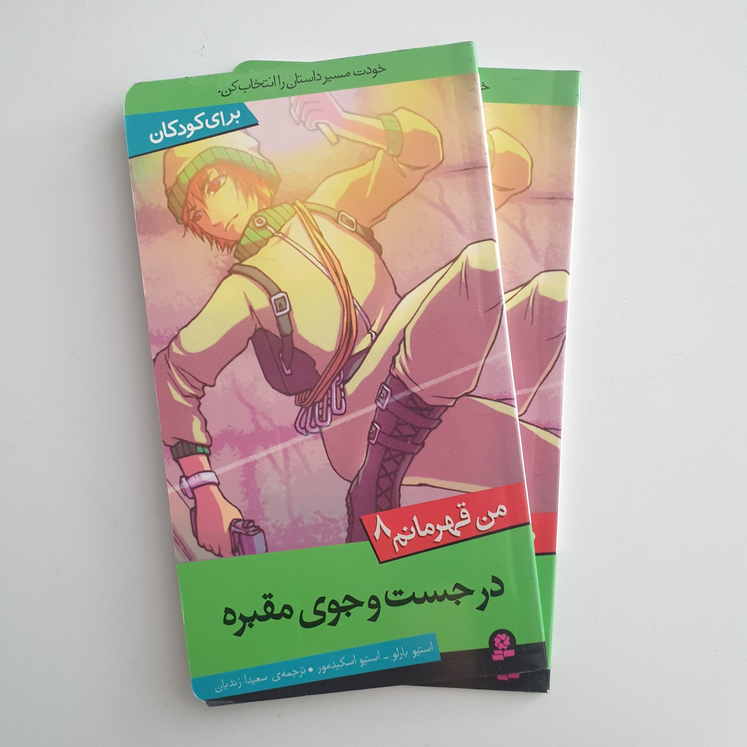 کتاب من قهرمانم8 ( در جستجوی مقبره )