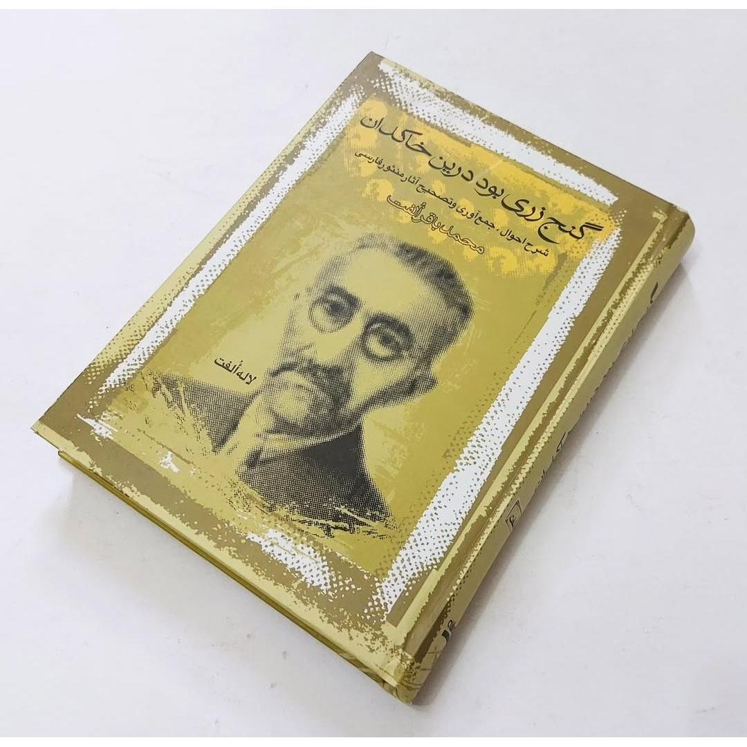 گنج زری بود در این خاکدان