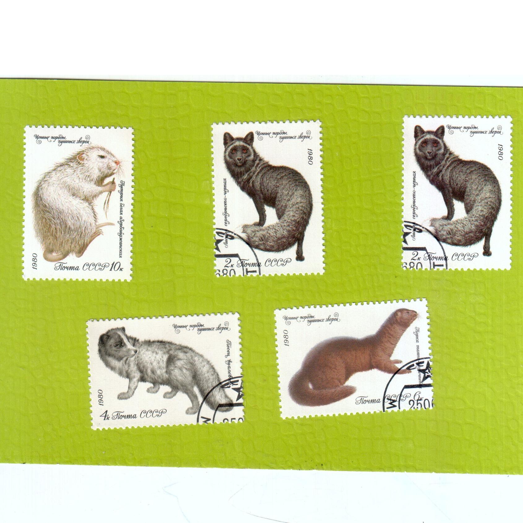 سری تمبر حیوانات- پستانداران وحشی روسیه- 5