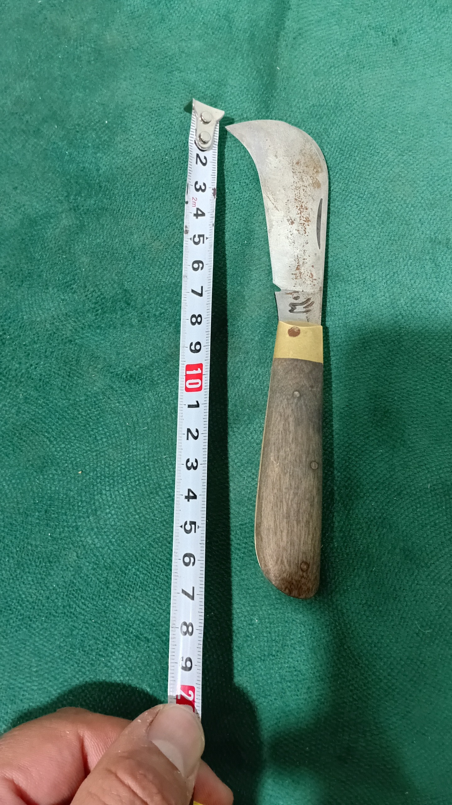 چاقو بلوط خوری