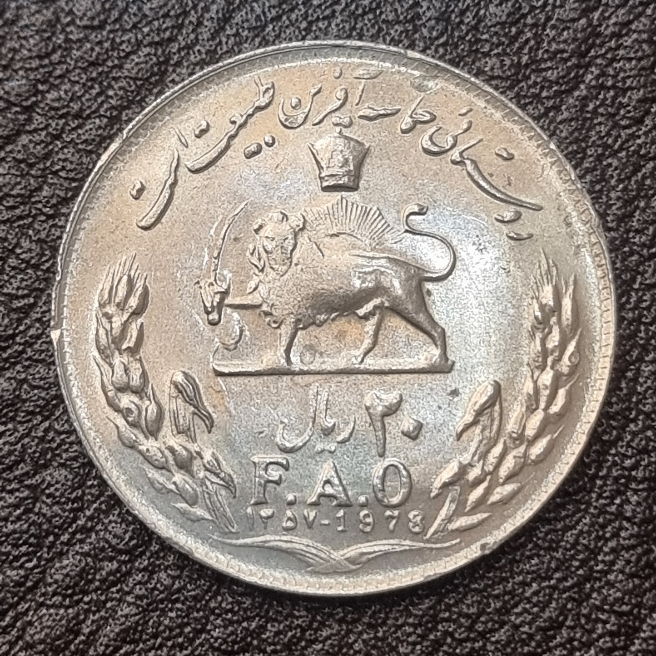 20 ریال فائو روستایی
