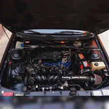 کیت