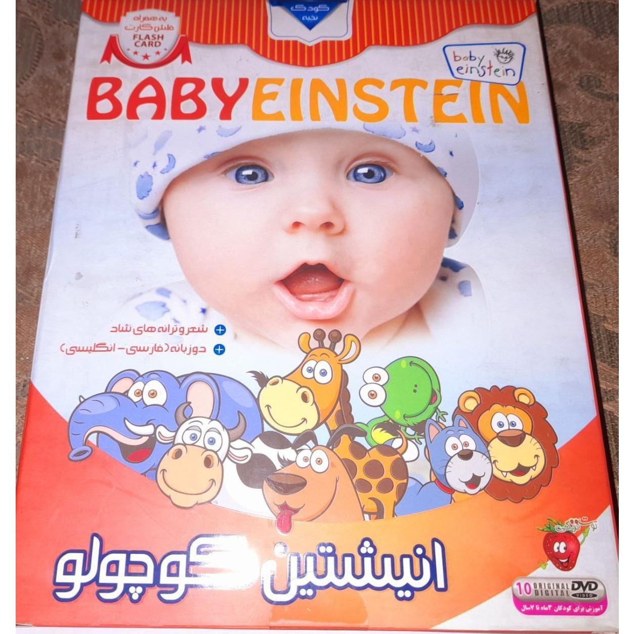 مجموعه انیشتن کوچولو شامل ده دی وی دی نایتب