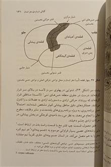 فرضیه
