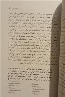فمینیسم