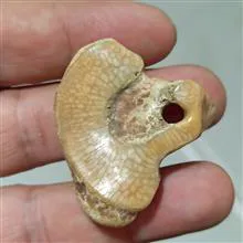 مهره