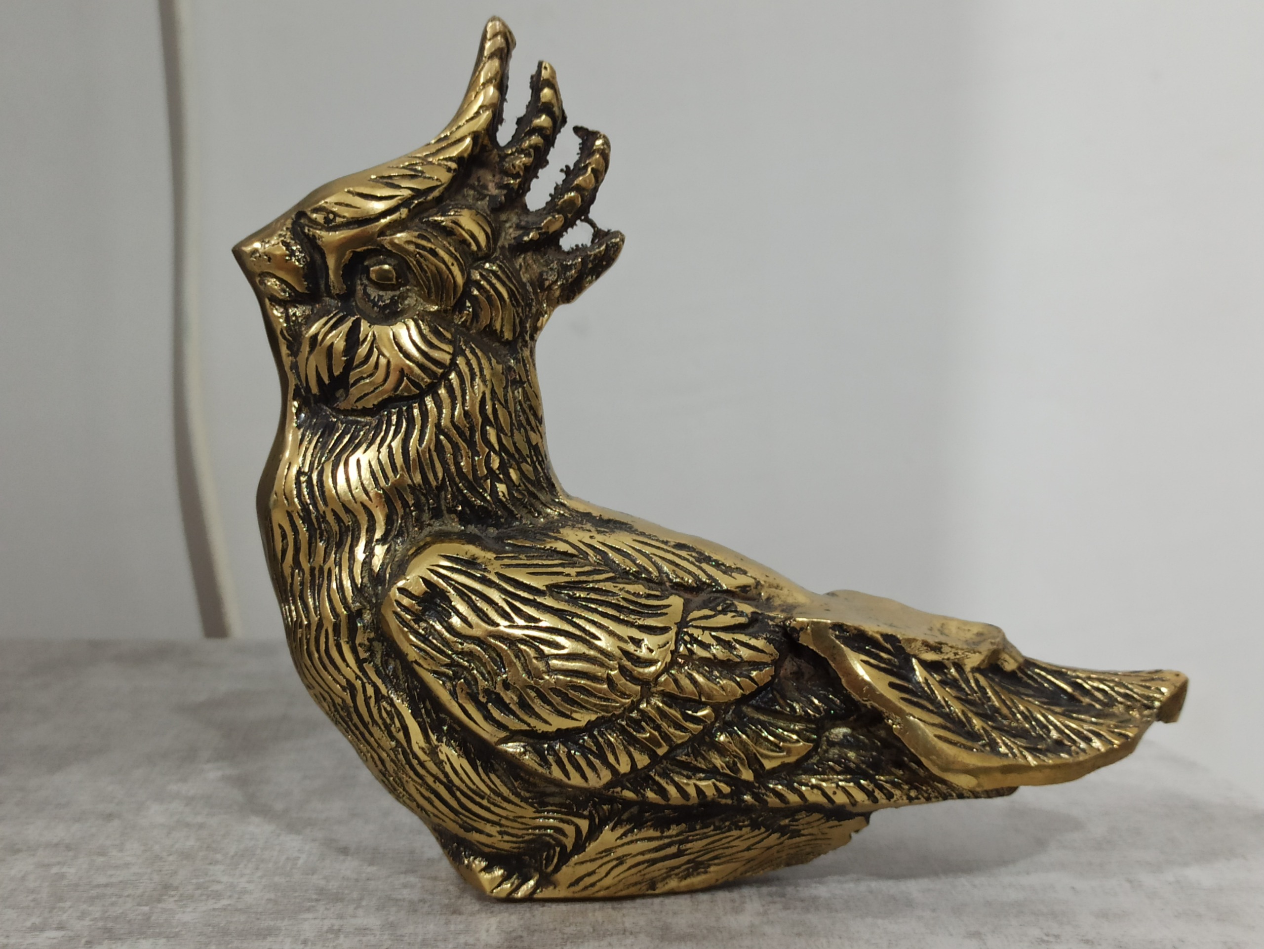 مجسمه برنزی طوطی سایز خوب و سنگین