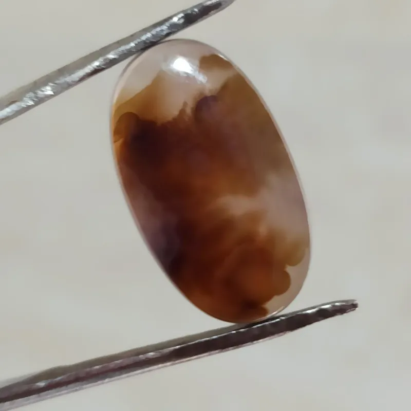 نگین شجر قائن