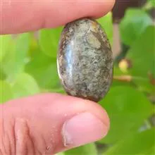 مهره