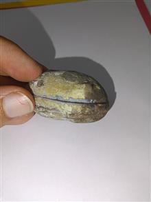 توپی