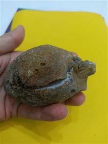 توپی