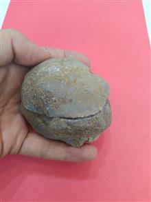 آمیتیست