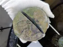 توپی