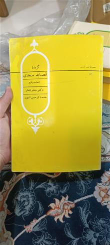گزیده